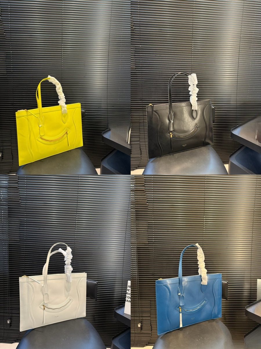 Celine Handbag 004