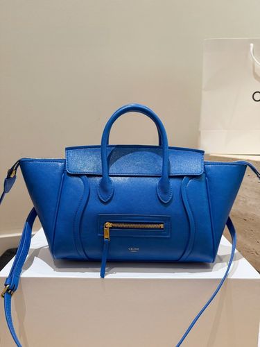 Celine Handbag 018