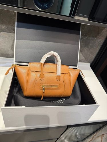 Celine Handbag 026