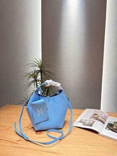 Celine Handbag 034