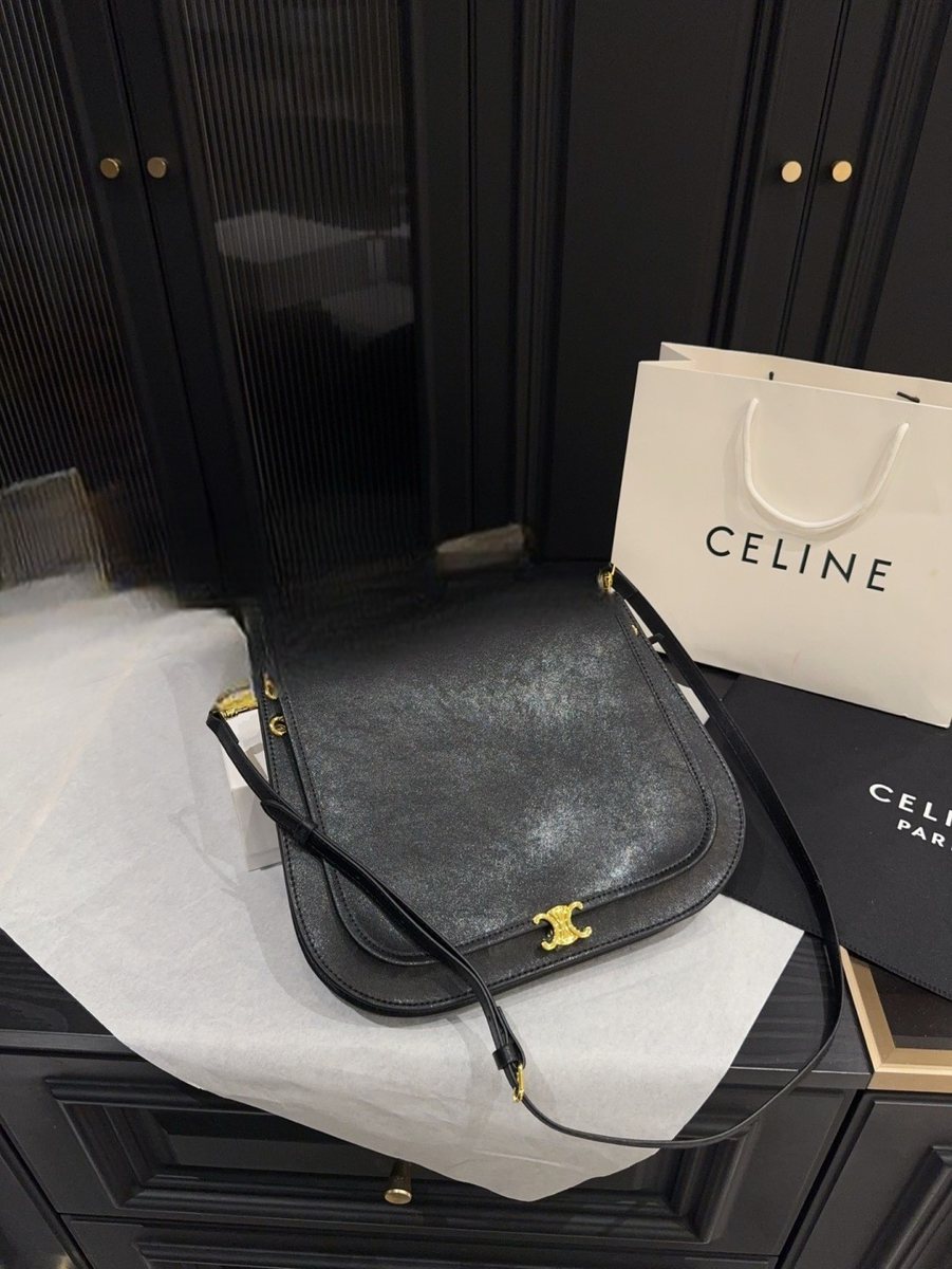 Celine Handbag 065