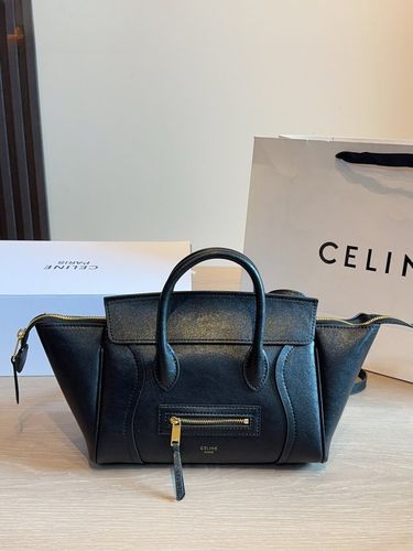 Celine Handbag 074
