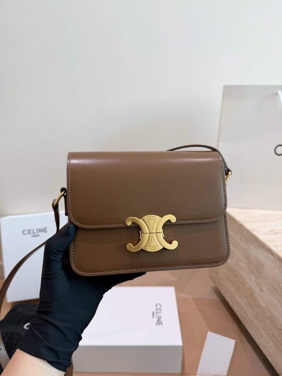 Celine Handbag 086