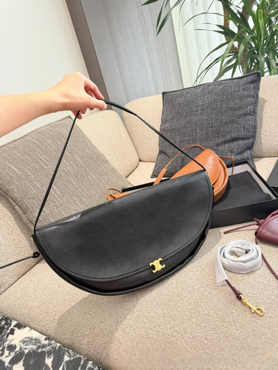 Celine Handbag 101