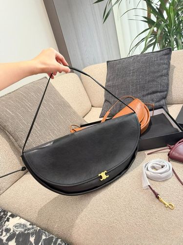 Celine Handbag 101
