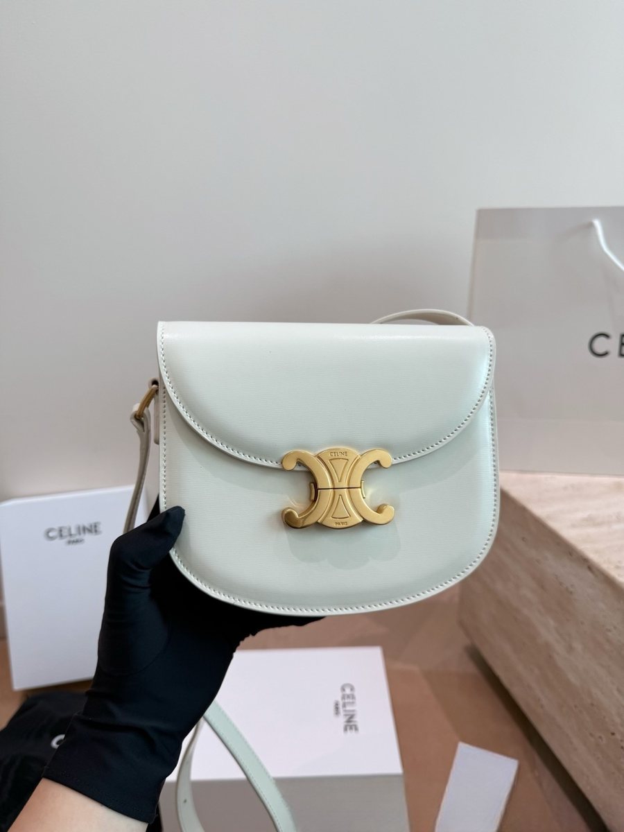 Celine Handbag 108