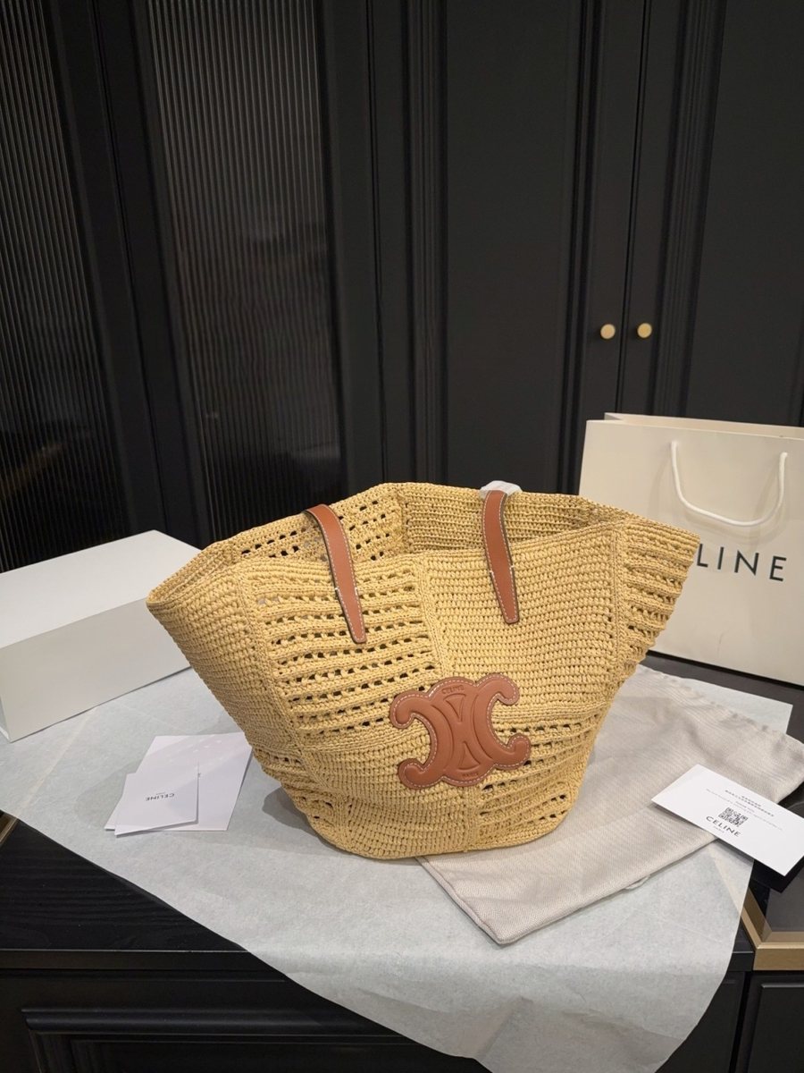 Celine Handbag 117