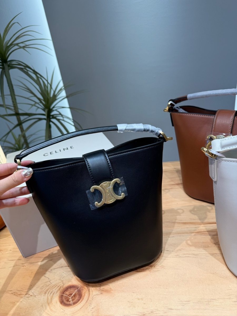 Celine Handbag 129