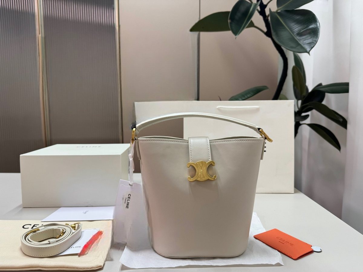 Celine Handbag 163