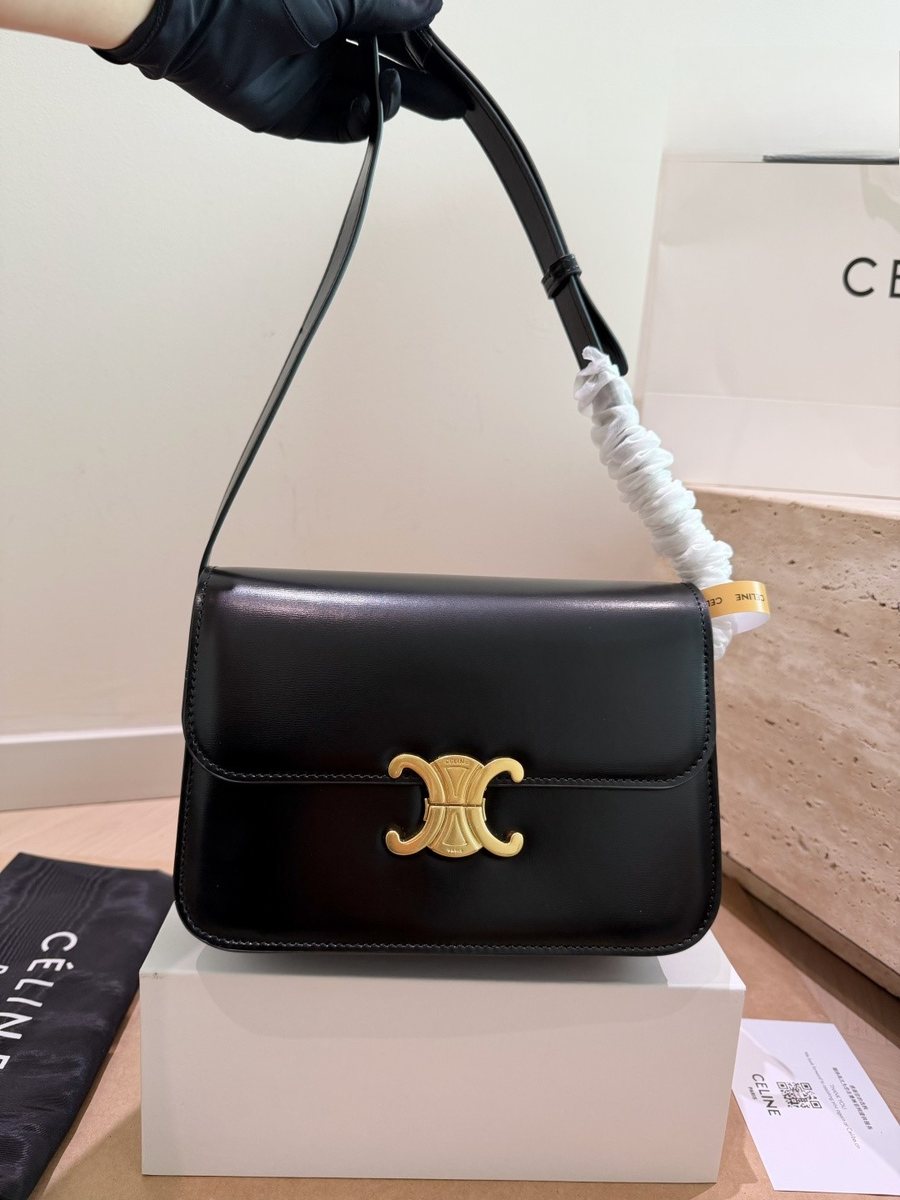 Celine Handbag 166