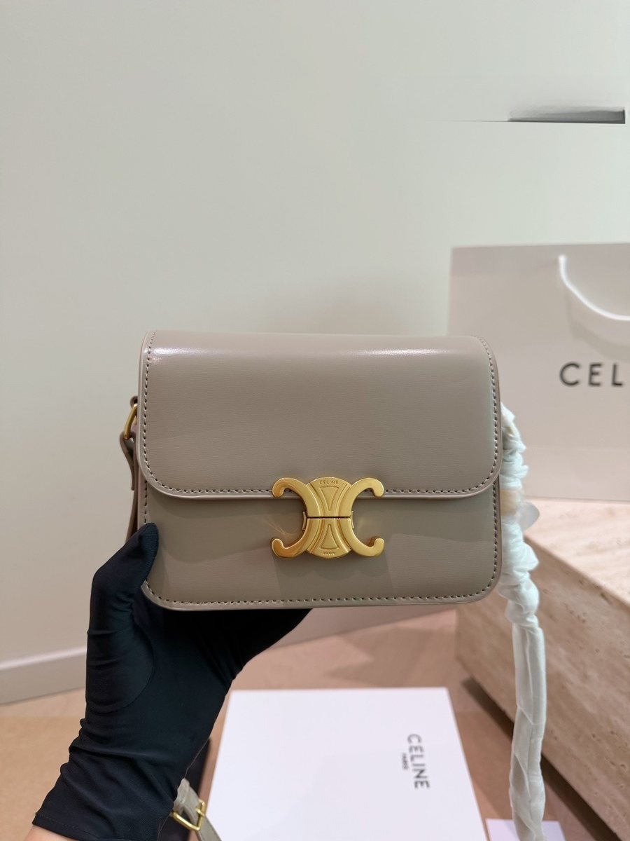 Celine Handbag 168