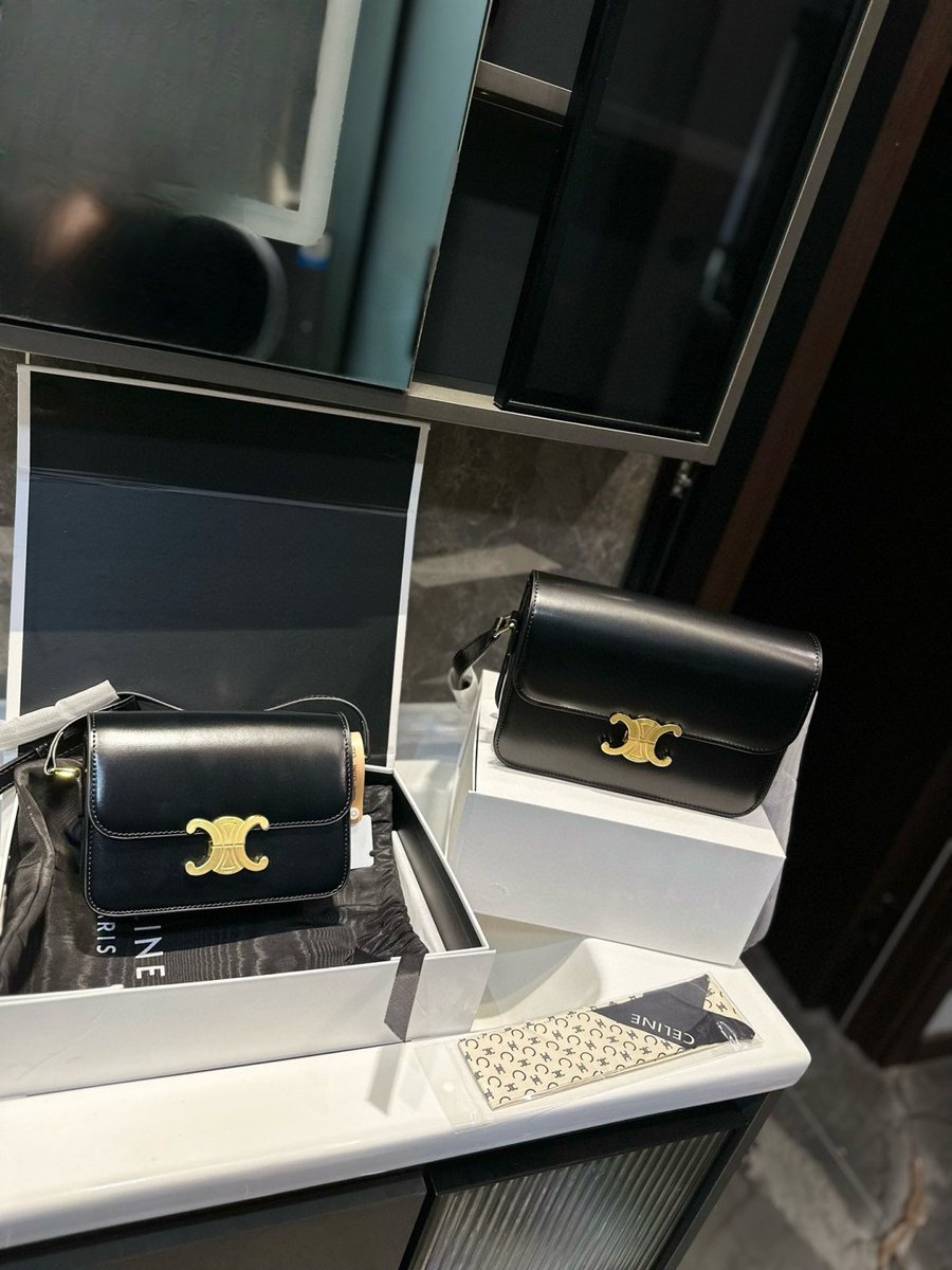 Celine Handbag 171