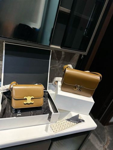 Celine Handbag 172