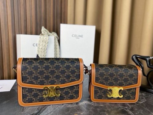 Celine Handbag 173