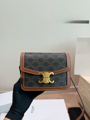 Celine Handbag 176