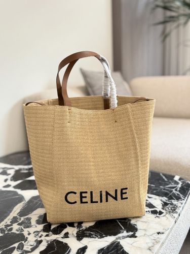 Celine Handbag 177
