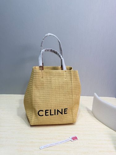 Celine Handbag 178