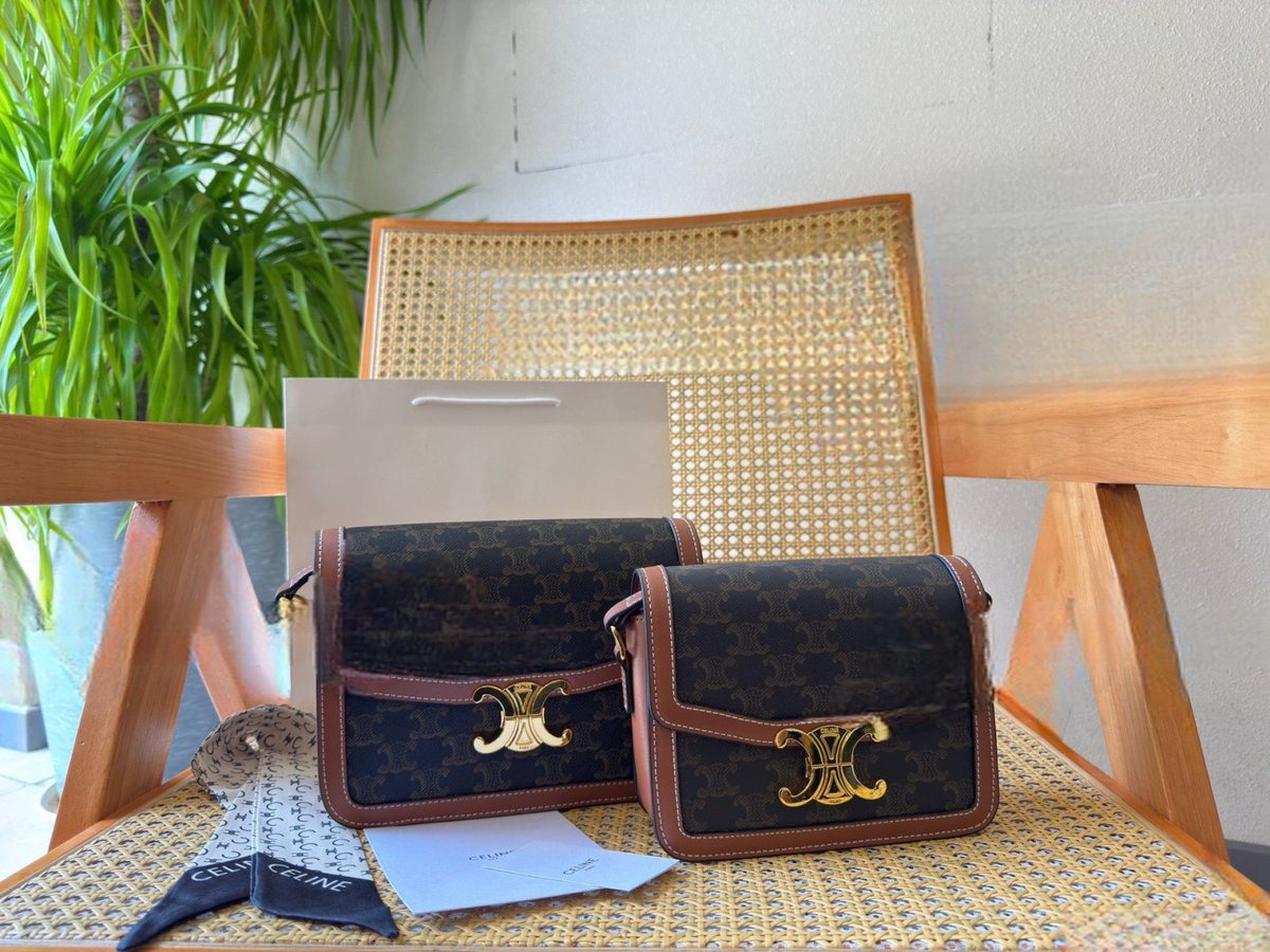 Celine Handbag 189