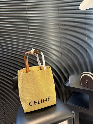 Celine Handbag 192