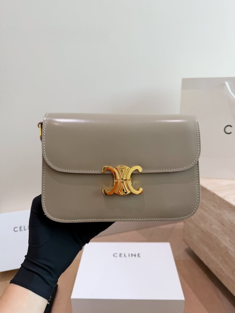 Celine Handbag 219