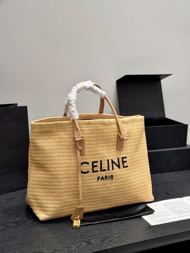 Celine Handbag 221