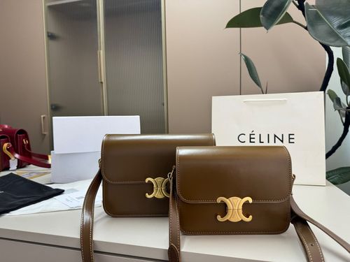 Celine Handbag 239
