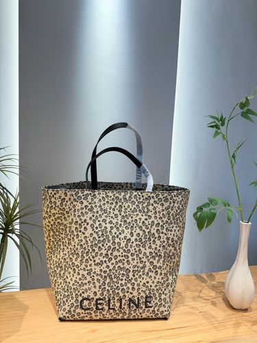 Celine Handbag 240