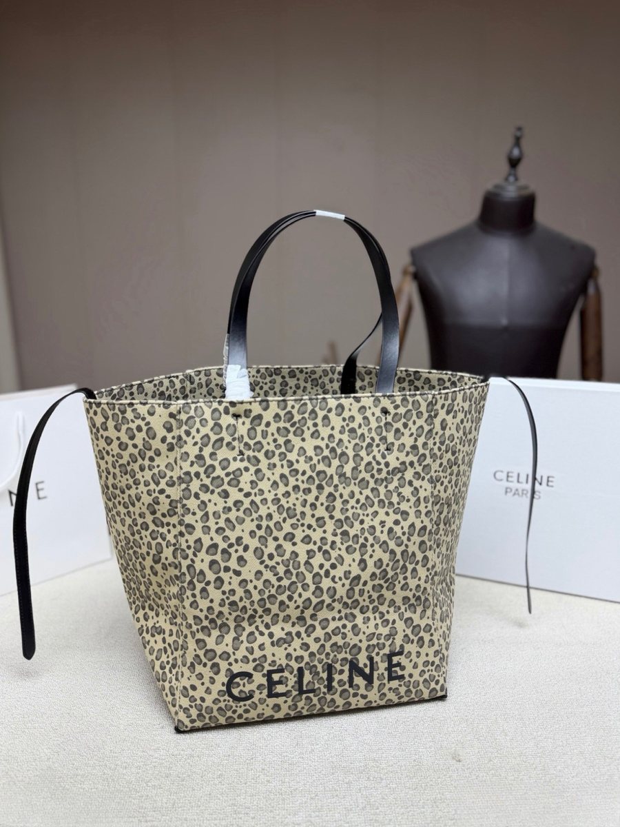 Celine Handbag 248