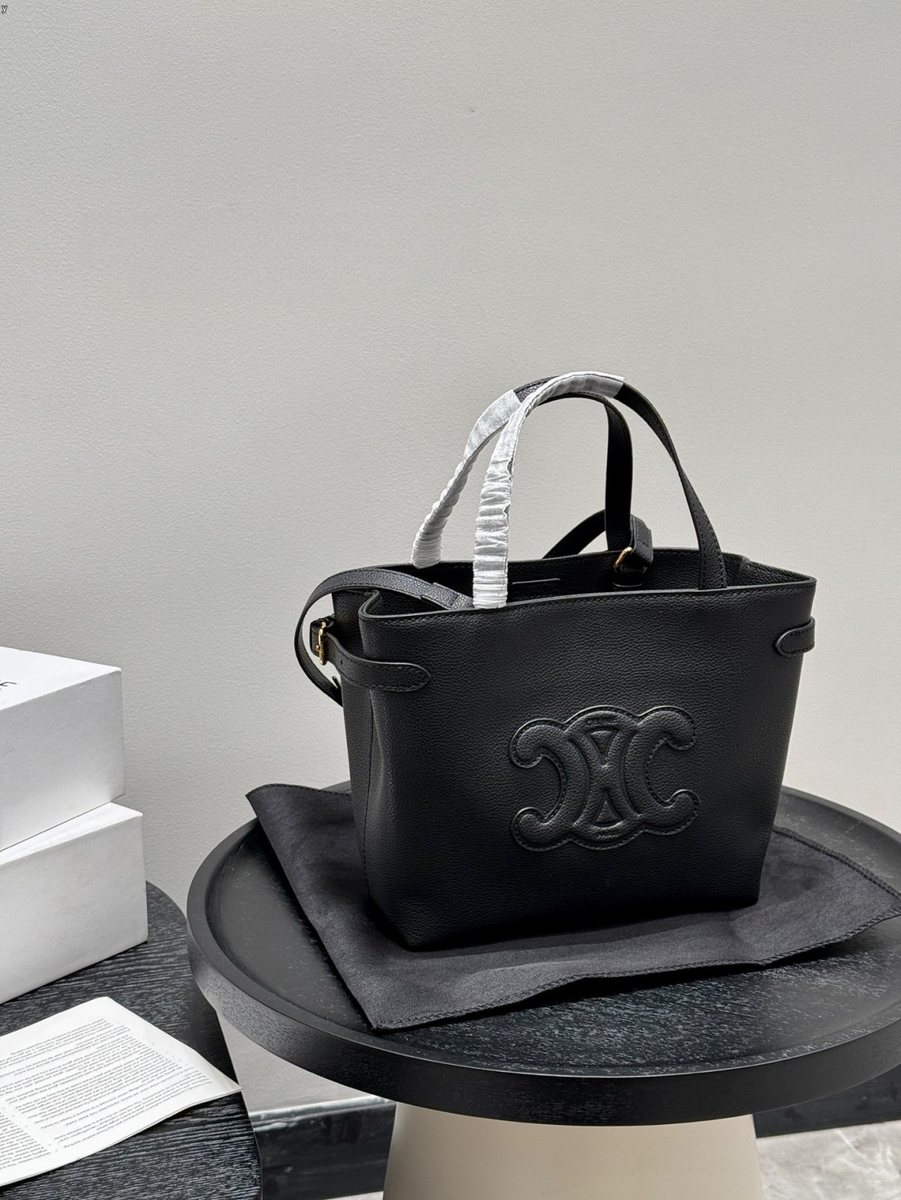 Celine Handbag 253