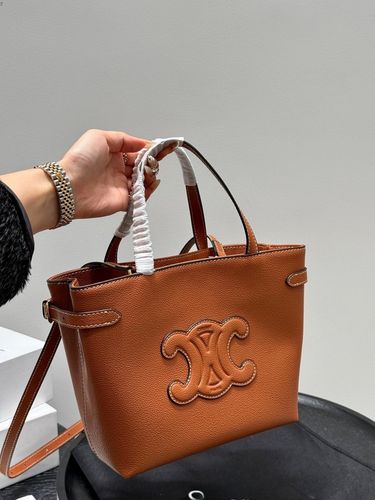 Celine Handbag 254