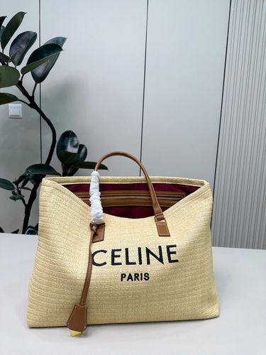 Celine Handbag 261