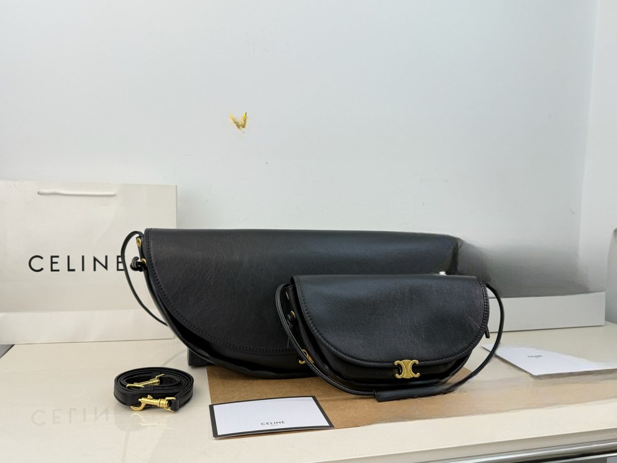 Celine Handbag 267