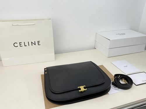 Celine Handbag 269