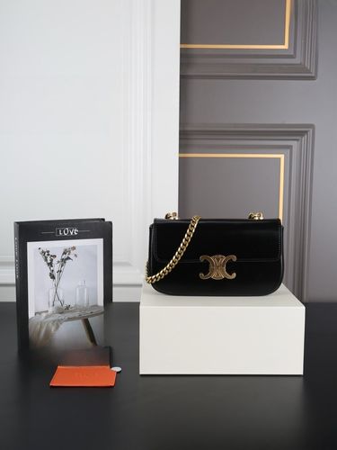 Celine Handbag 276