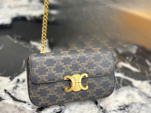 Celine Handbag 293