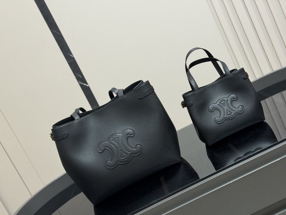 Celine Handbag 294