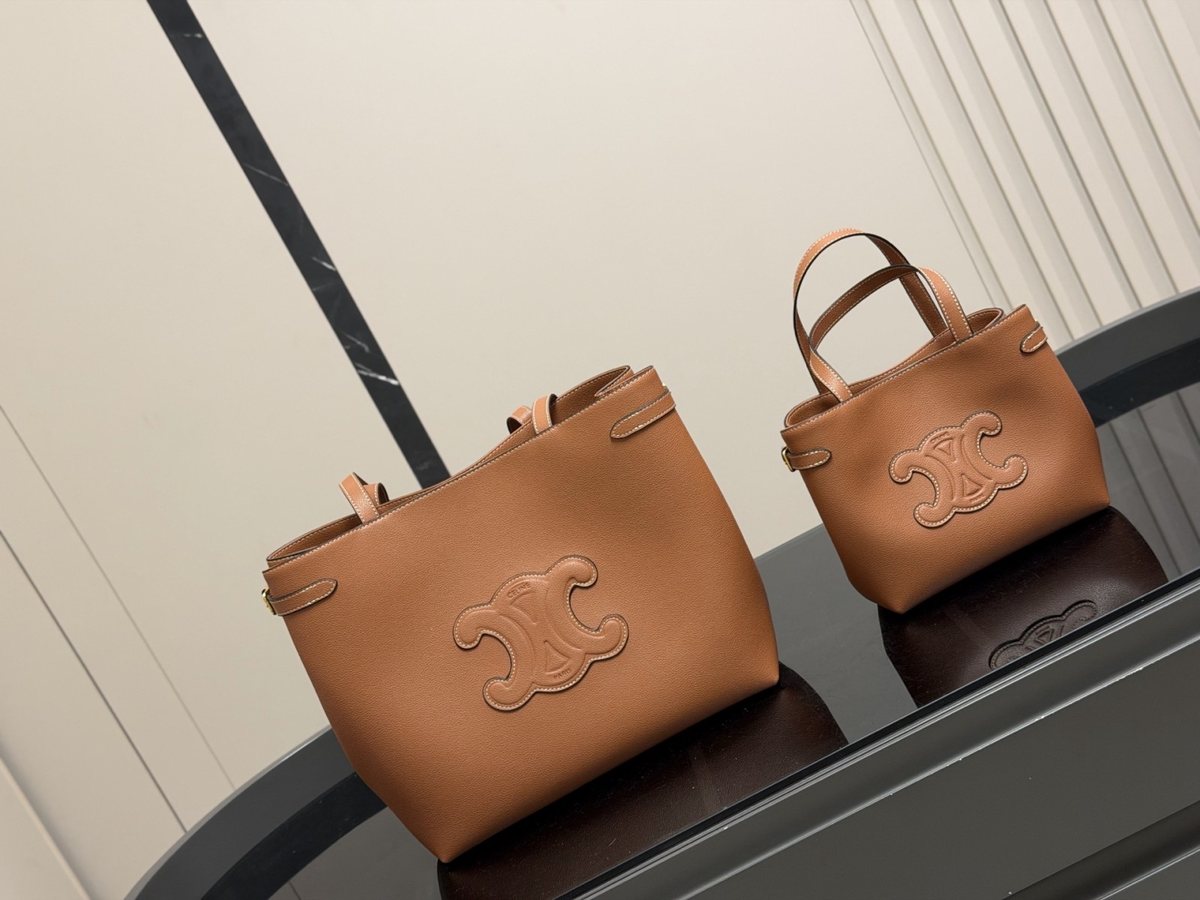 Celine Handbag 295