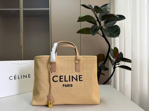Celine Handbag 298
