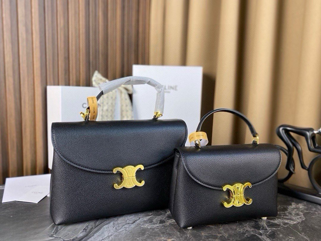 Celine Handbag 301
