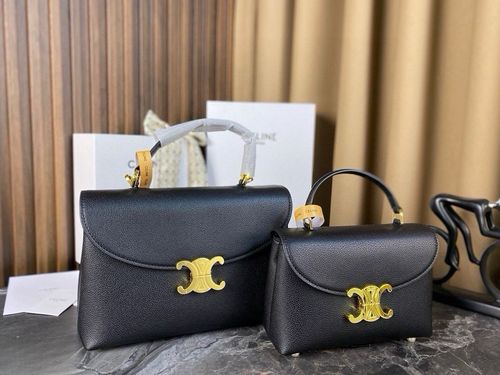 Celine Handbag 301