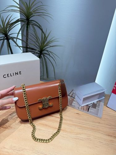 Celine Handbag 303