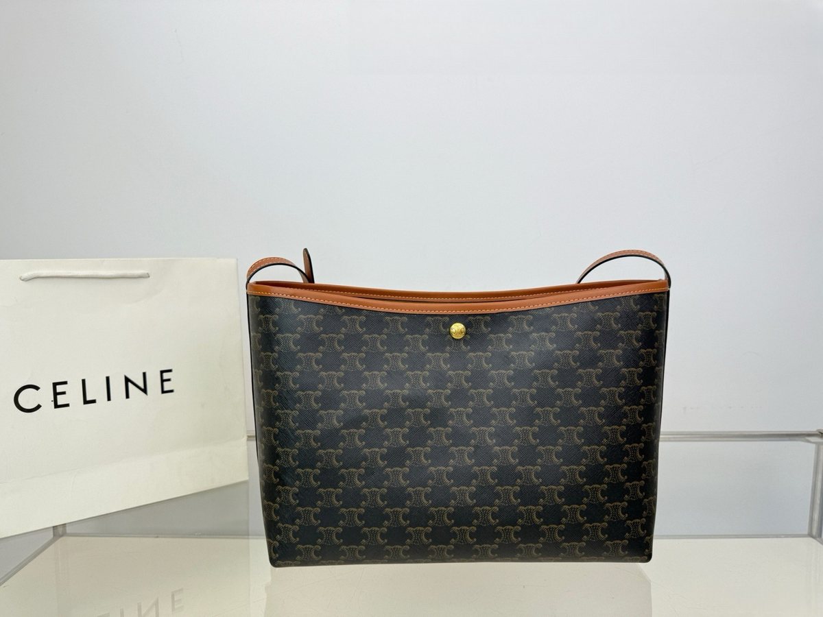 Celine Handbag 309