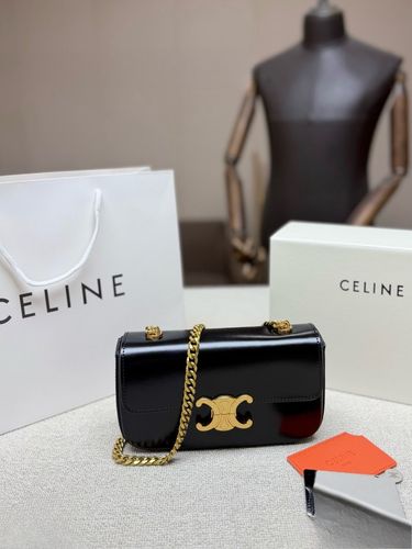Celine Handbag 310