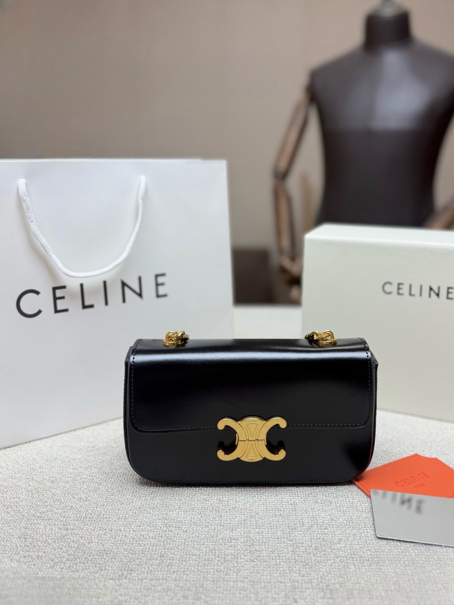 Celine Handbag 311