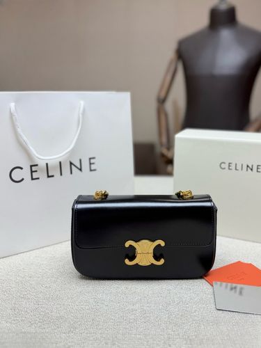 Celine Handbag 311