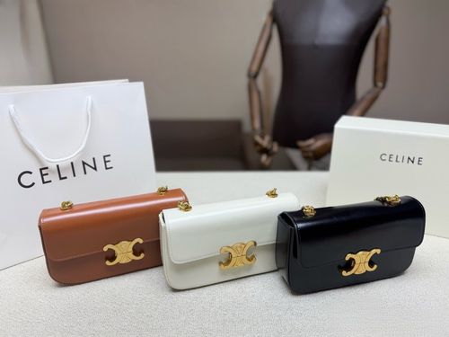 Celine Handbag 312