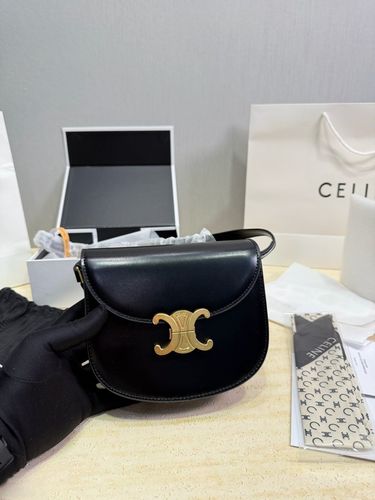 Celine Handbag 313