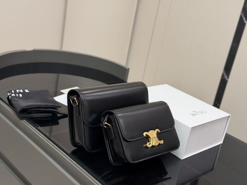 Celine Handbag 321