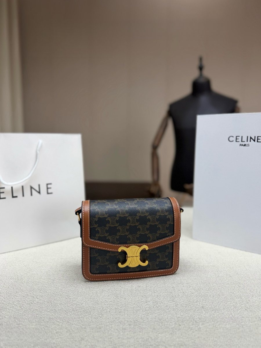 Celine Handbag 343