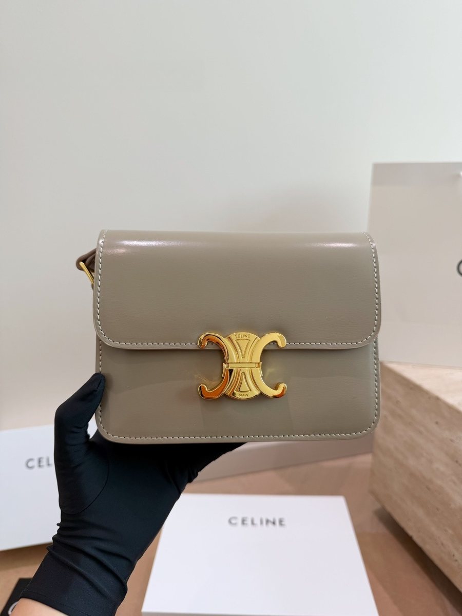 Celine Handbag 347